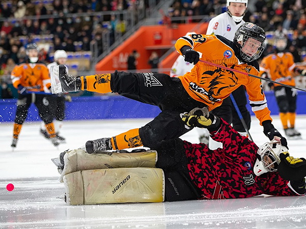 Такой хоккей нам не нужен