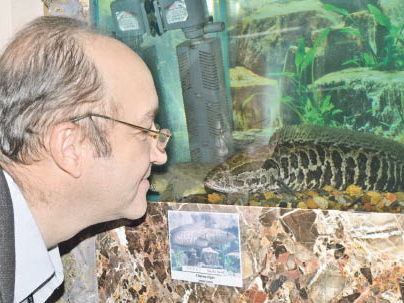 Змееголова голыми руками не взять!