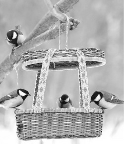 Покормите зимующих птиц!