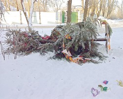 Куда девать тебя, красавица, после новогоднего праздника