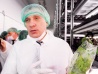 Хабаровчан обещают обеспечить витаминной зеленью
