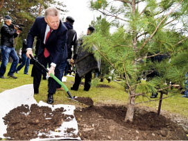 Чемпионат начинается с аллеи