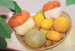 Декоративные тыквы - украшение дачи