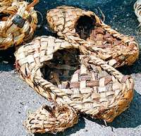 Эх вы, лапти мои, лапти лыковые