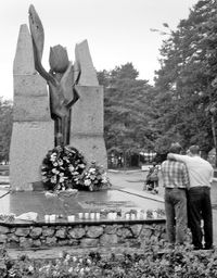 Белый лебедь на пруду попал в беду