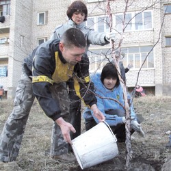 Веники, веники, светлому маю привет!