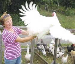 Чудо в перьях