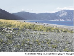 Охота на лошадей