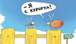 Мошка мошкой, а клещ опасней