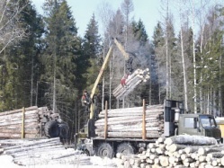 То, что даёт природа, нужно использовать полнее 