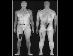 Сканер просветит догола