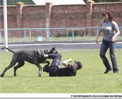 Собака бывает кусачей...