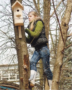 А вы повесили скворечник?