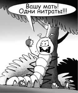 Червоточина в настоящем яблочке