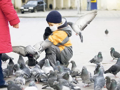 Птичий грипп пока облетает нас стороной