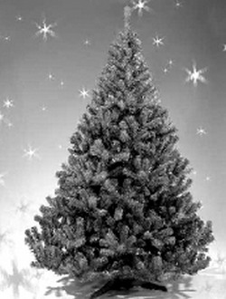 А лесникам нравятся искусственные ели