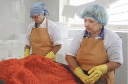 В эту путину лосось мимо не прошёл