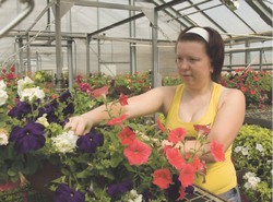 Тигр у входа в парк «Динамо»