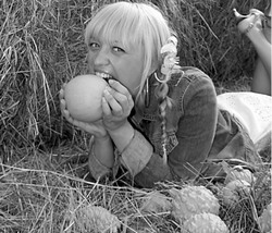 Сюжет от читателя