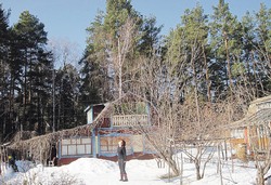 Стали дачи... заповедными