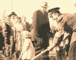 Где растёт дерево Гагарина