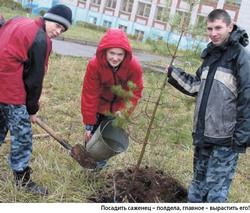 Реформы идут, а лес растёт