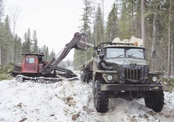 Инспекторы знают, откуда берутся «дровишки»