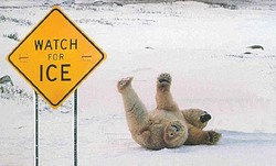 Спасаемся от зимних травм