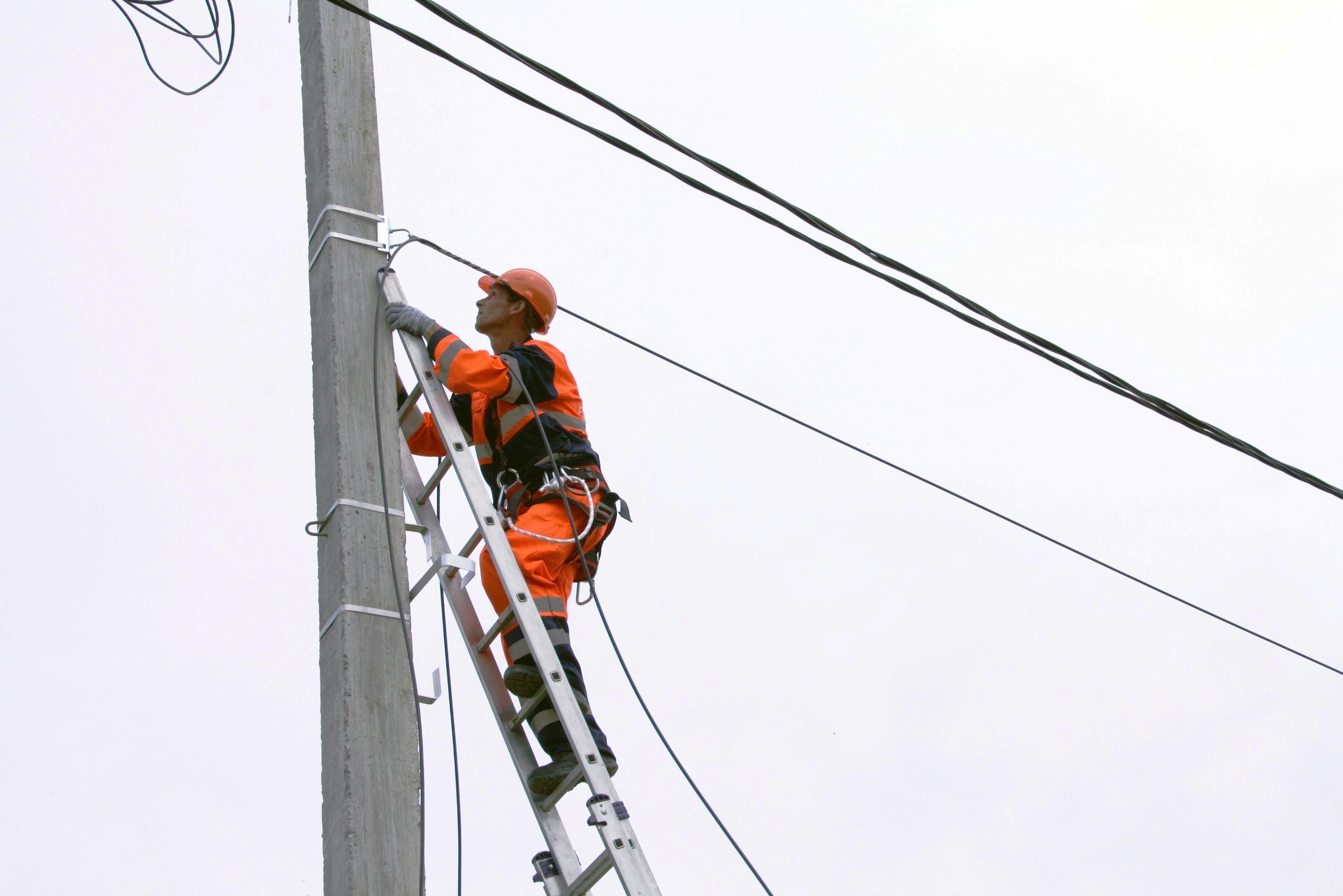 Инициативы ТОС помогают цифровизации: правительство и «Ростелеком» поддерживают 
