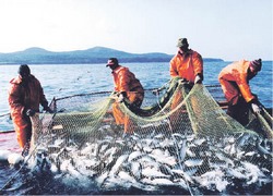 Секреты рыбацкого счастья