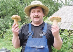 Зигзагом за грибами шагаем по гребёнке