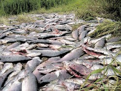 Уничтожить - и баста