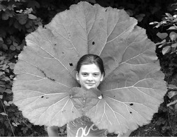 Столовая у вас под… ногами