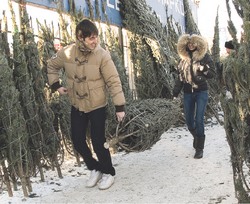 В Хабаровске наконец-то запахло хвоей