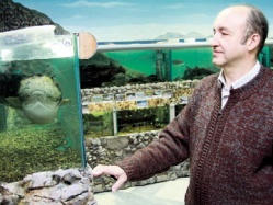 Хабаровск поможет амурариуму