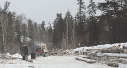 «Самоволка» в таёжных дебрях