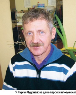 Виноград от Чудопалова