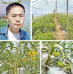 Фермер Андрей Ким повысил урожай благодаря гранту «Агростартап»