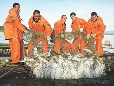 На Амуре предлагают запретить с мая по июнь рыбу ловить