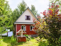 Дачную чудо-рассаду хабаровчане скупают на корню