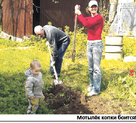 Луговой мотылёк проснулся