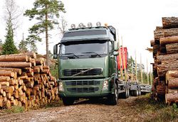 Лесные инспекторы на линии огня