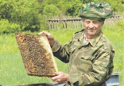Хороший пасечник сам, как… пчела