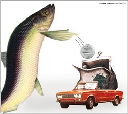 Поддержим селедкой бедный автопром…