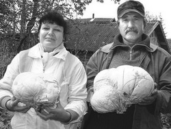 Дождевик - знакомый незнакомец