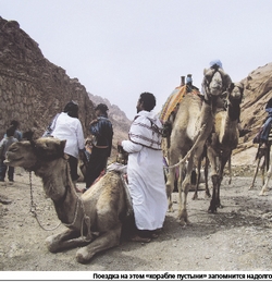 Под одной кепкой-2