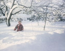 Сделайте яблоньке причёску