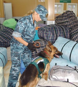 Таблетки в капюшоне