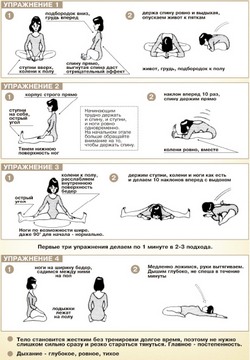 Макко-хо: секрет долгожительства