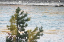 Экологическая безопасность - кредо томских газовиков